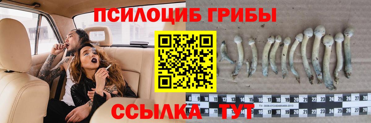 Галлюциногенные грибы мухоморы  Вход с VPN  Добрянка 